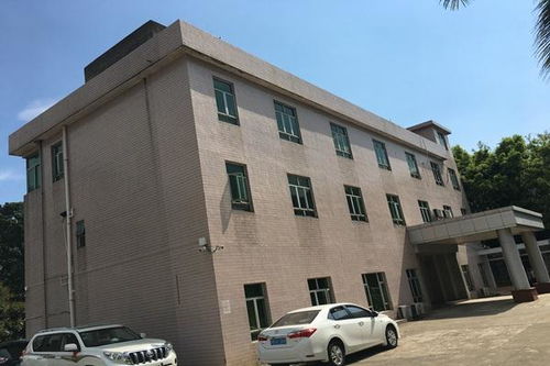 今日新聞 技術(shù)精湛，專業(yè)護(hù)航——聚焦十堰、襄陽、宜昌三地房屋建筑檢測與鑒定